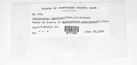 Image Associated With the Occurence